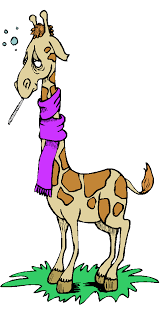 giraffi