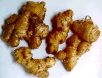 http://wwwchem.uwimona.edu.jm:1104/lectures/ginger.html